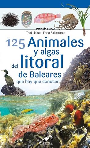 125 Animales y algas del litoral de Baleares que hay que conocer | 9788413562711 | Ballesteros Sagarra, Enric