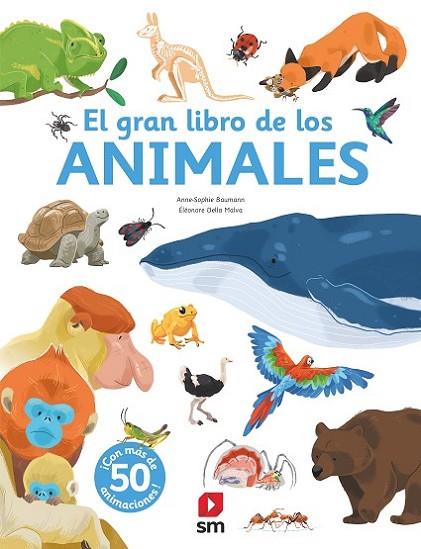 El gran libro de los animales | 9788413189512 | Baumann, Anne-Sophie