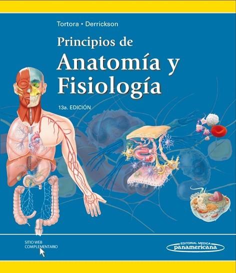 Principios de Anatomía y Fisiología | 9786077743781 | Tortora, Gerard