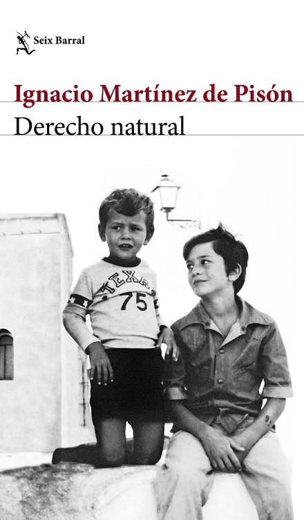 Derecho natural | 9788432232220 | Martínez de Pisón, Ignacio